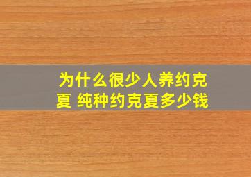 为什么很少人养约克夏 纯种约克夏多少钱